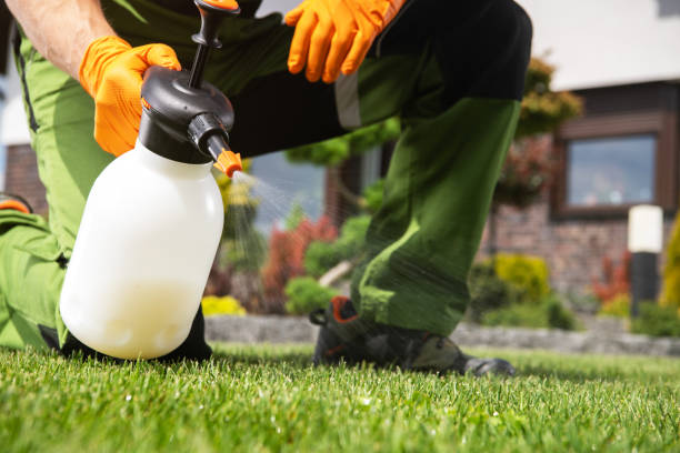 Best Pest Control Near Me in Cedar Crest, MA