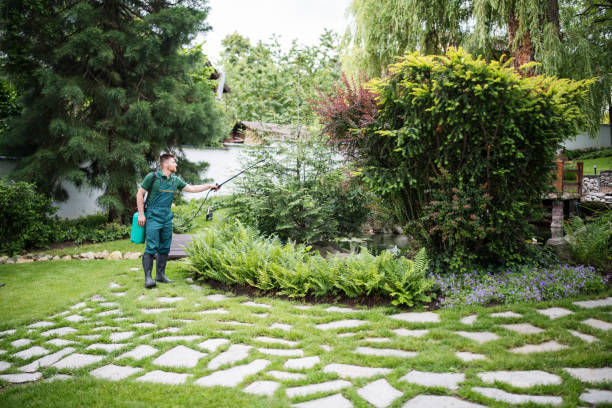 Best Pest Removal Services  in Cedar Crest, MA