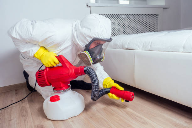 Best Bed Bug Extermination  in Cedar Crest, MA
