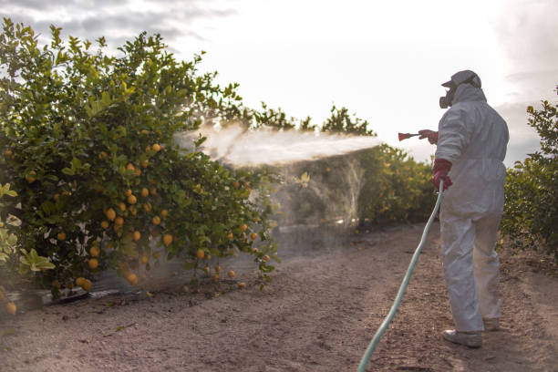 Best Commercial Pest Control Services  in Cedar Crest, MA
