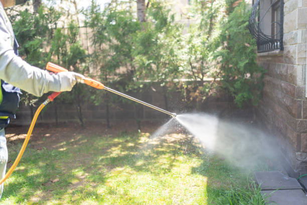 Best Wildlife Control Services  in Cedar Crest, MA