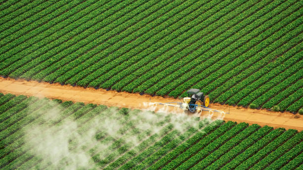 Best Mosquito Control Services  in Cedar Crest, MA