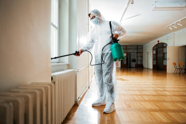 Wildlife Control Services in Cedar Crest, MA
